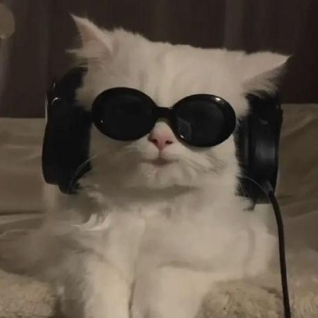 Plattnericus Profilbild